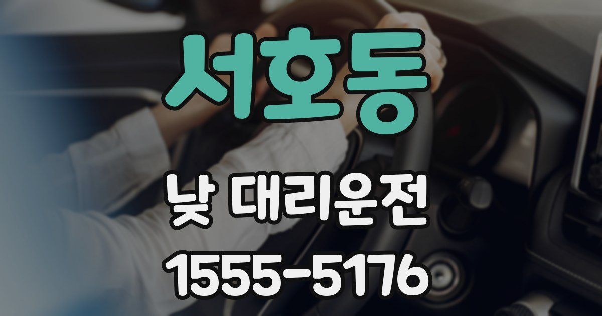 서호동 낮 대리운전