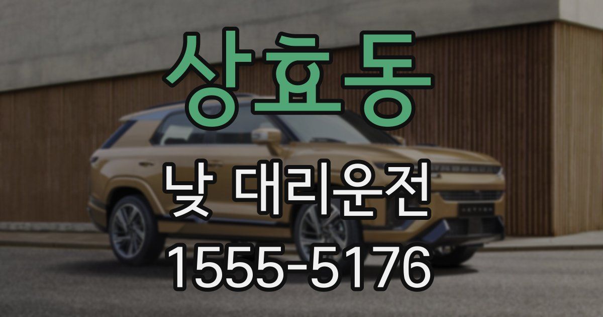 상효동 낮 대리운전