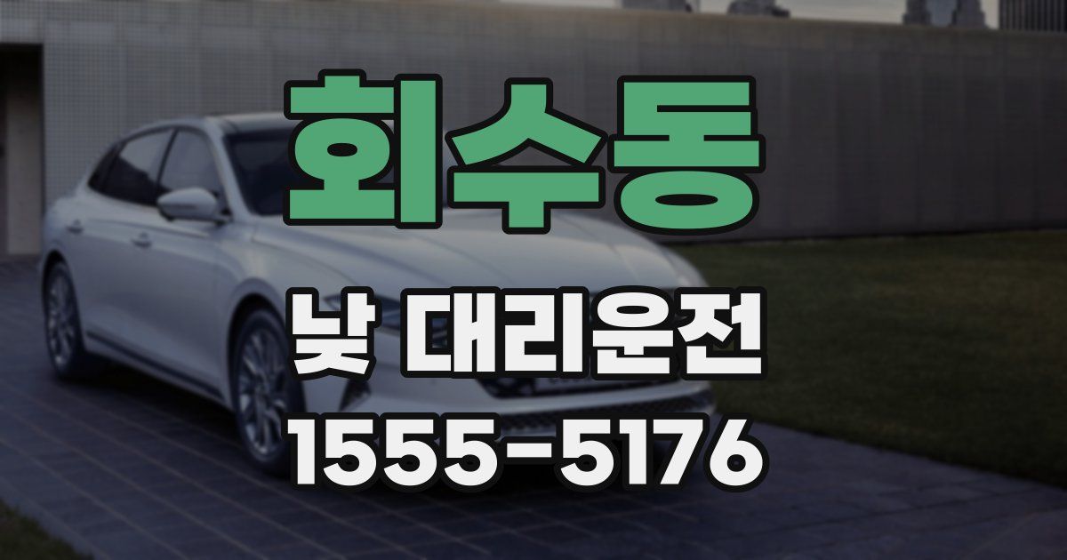 회수동 낮 대리운전