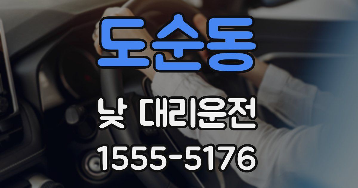 도순동 낮 대리운전
