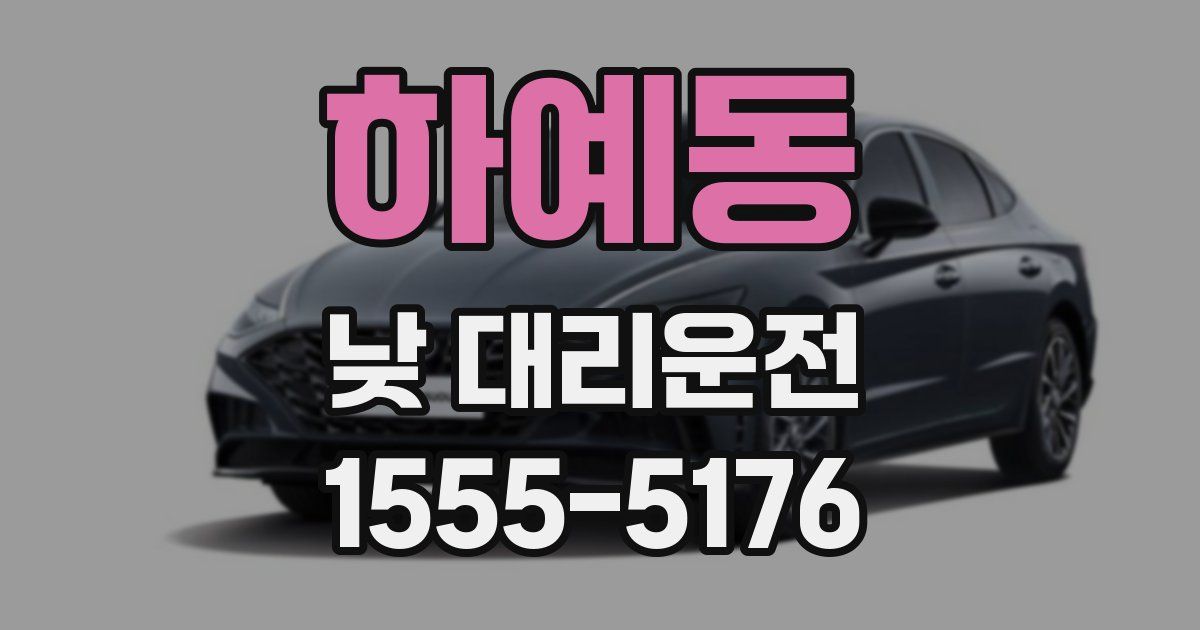 하예동 낮 대리운전