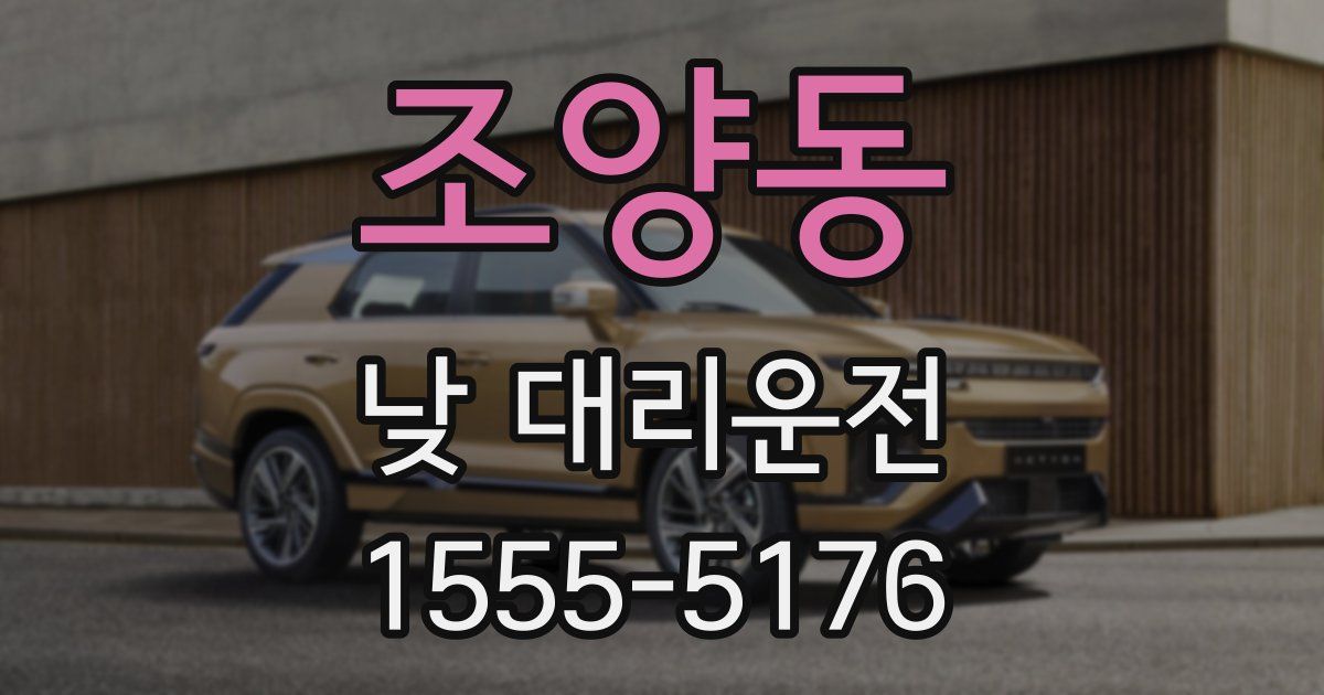 조양동 낮 대리운전