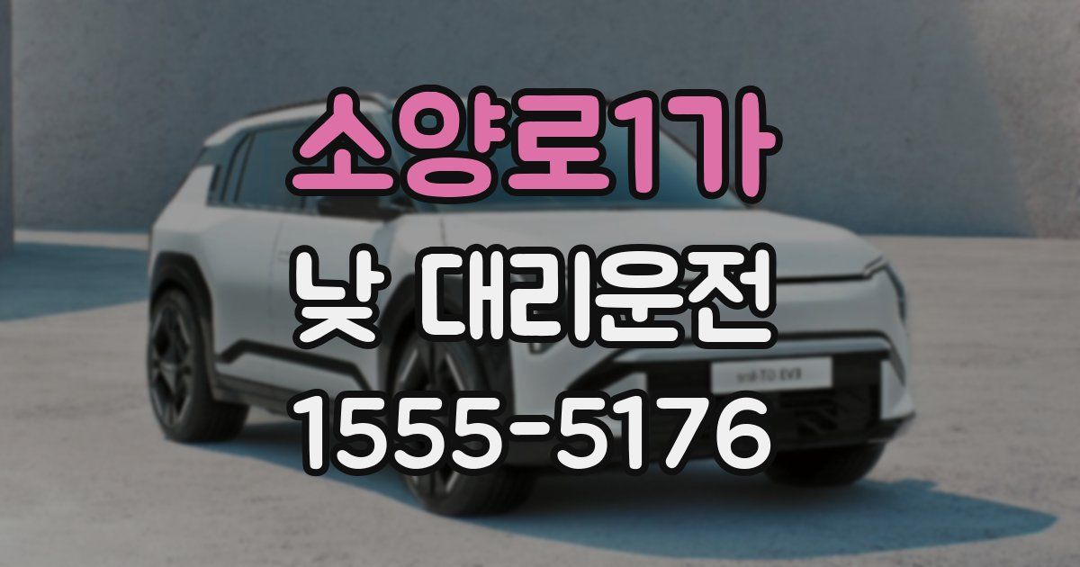 소양로1가 낮 대리운전