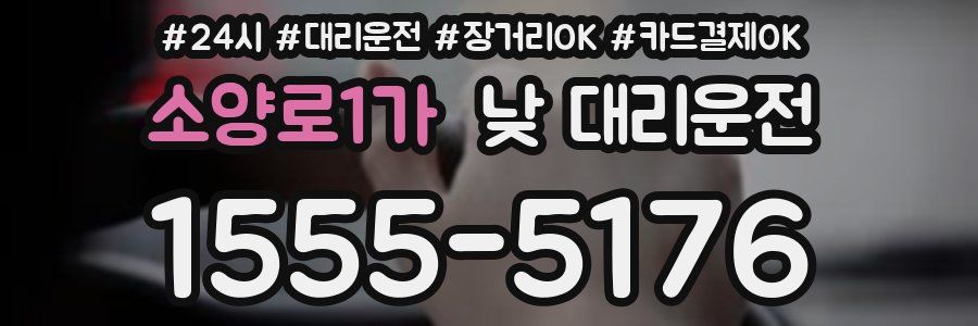 소양로1가 낮 대리운전