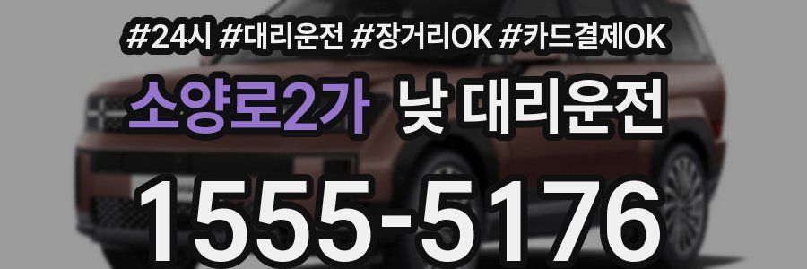 소양로2가 낮 대리운전