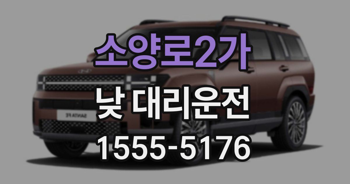 소양로2가 낮 대리운전