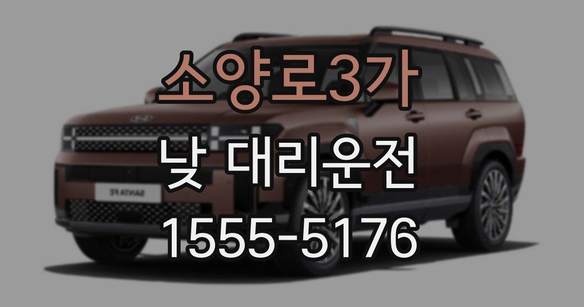 소양로3가 낮 대리운전