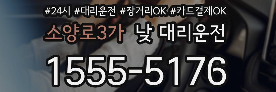 소양로3가 낮 대리운전