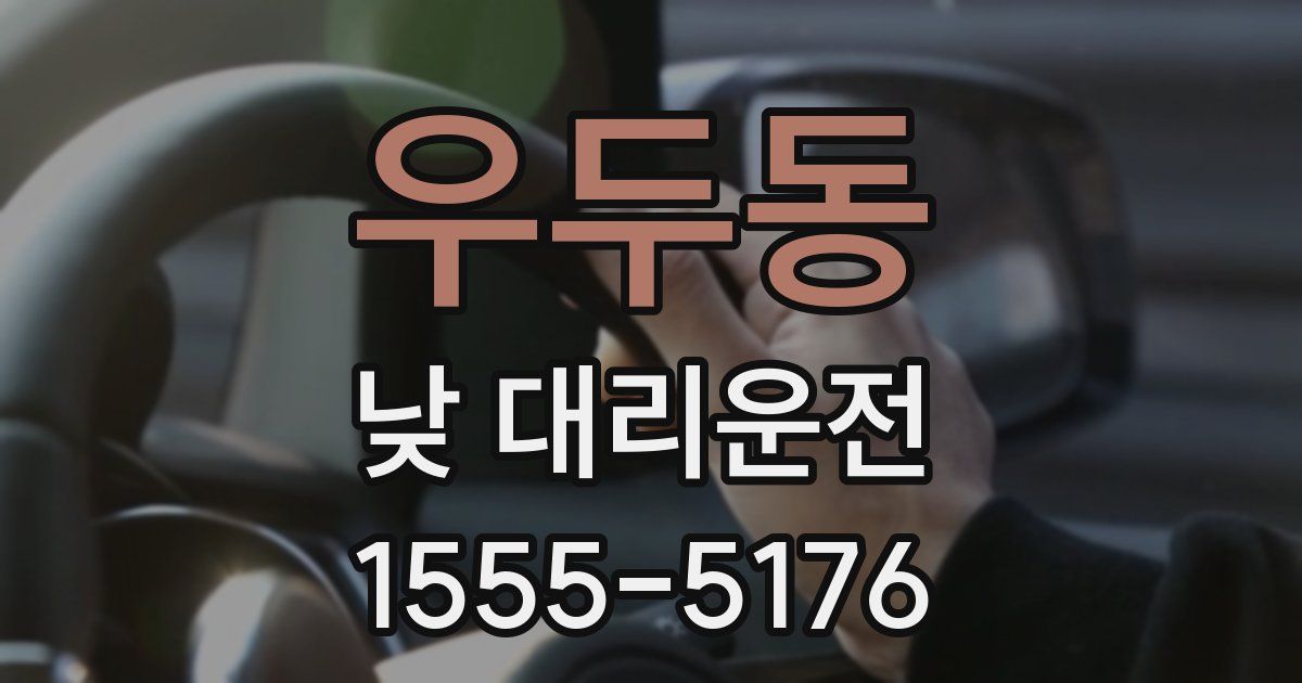 우두동 낮 대리운전