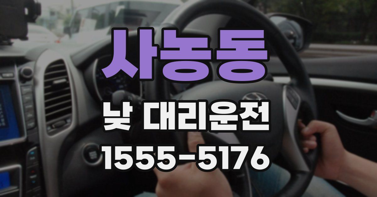 사농동 낮 대리운전