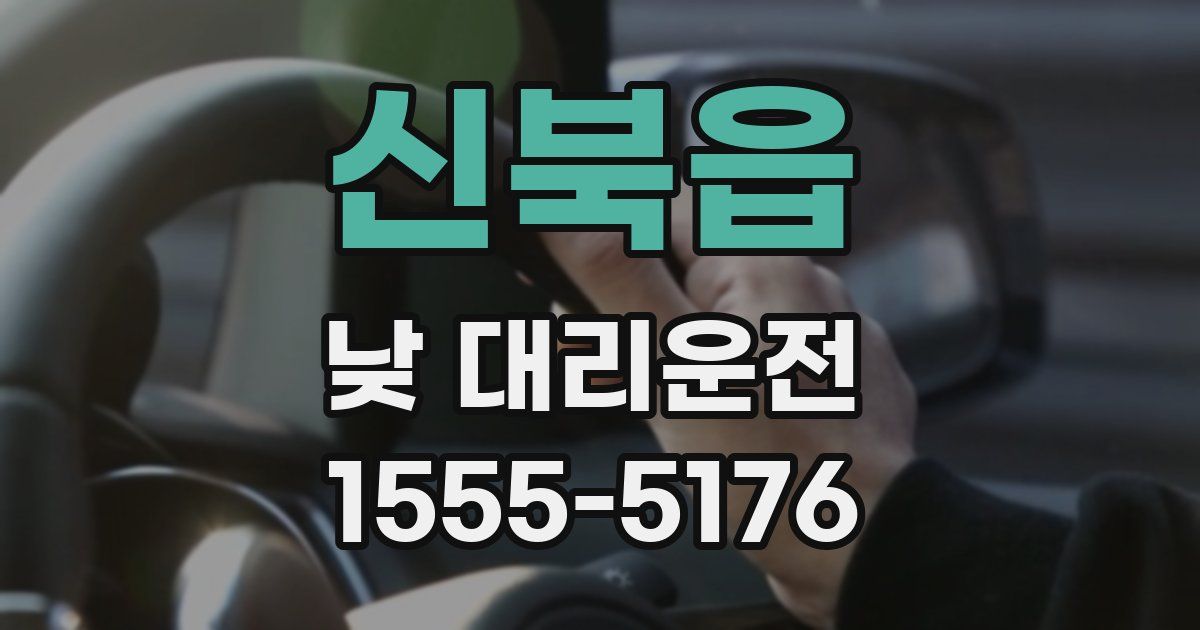 신북읍 낮 대리운전