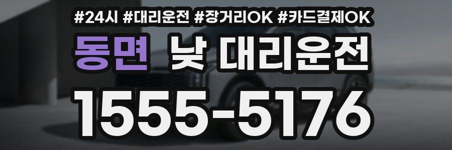 동면 낮 대리운전