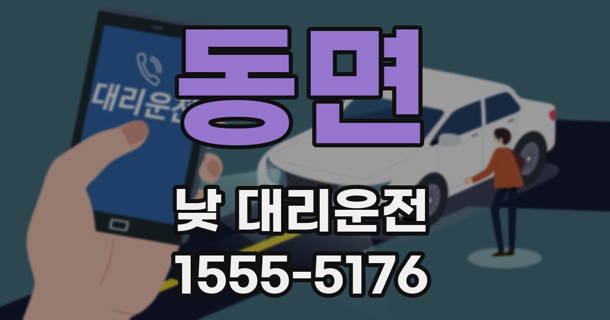 동면 낮 대리운전