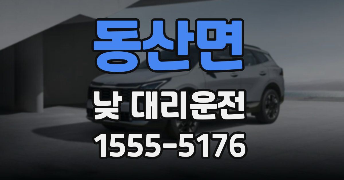 동산면 낮 대리운전