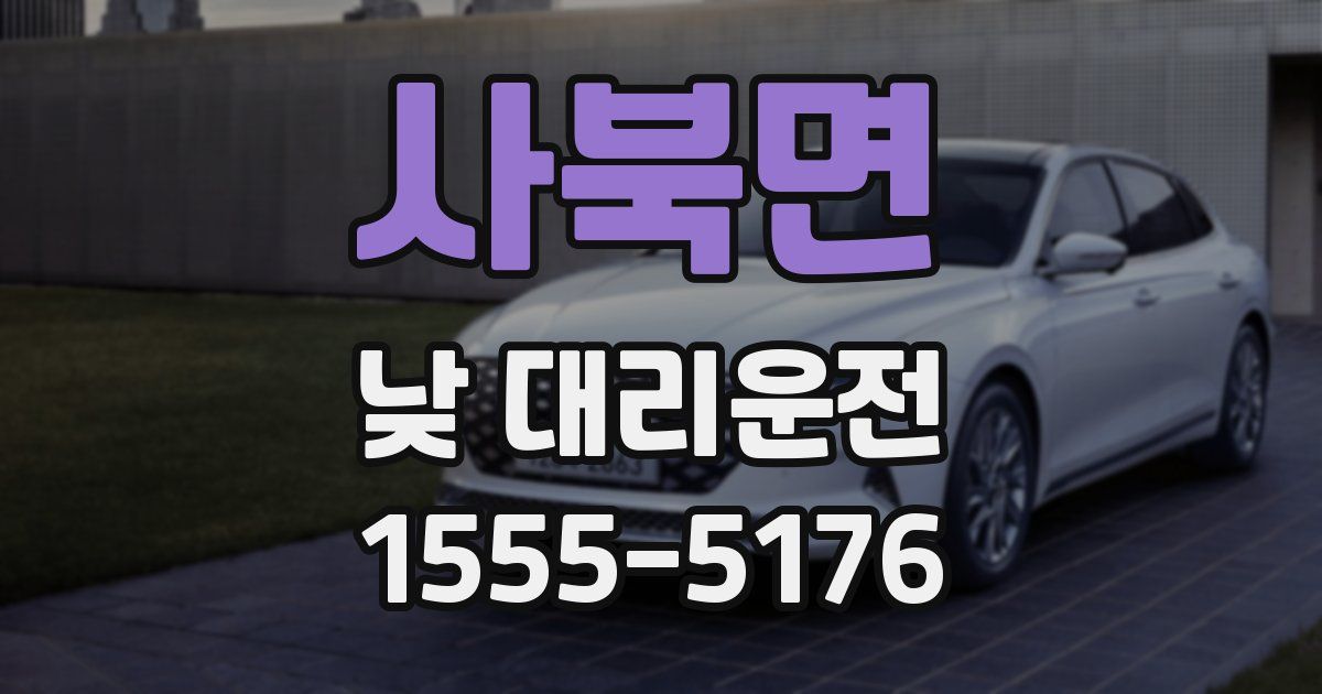 사북면 낮 대리운전