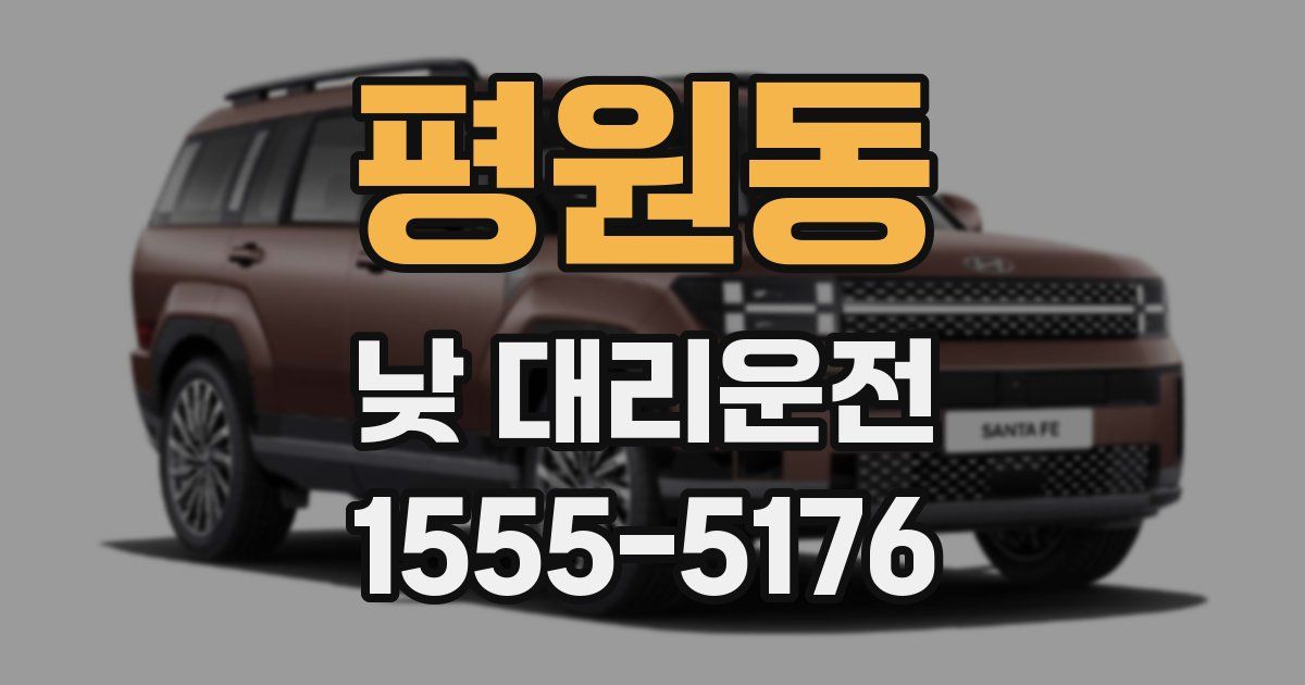 평원동 낮 대리운전