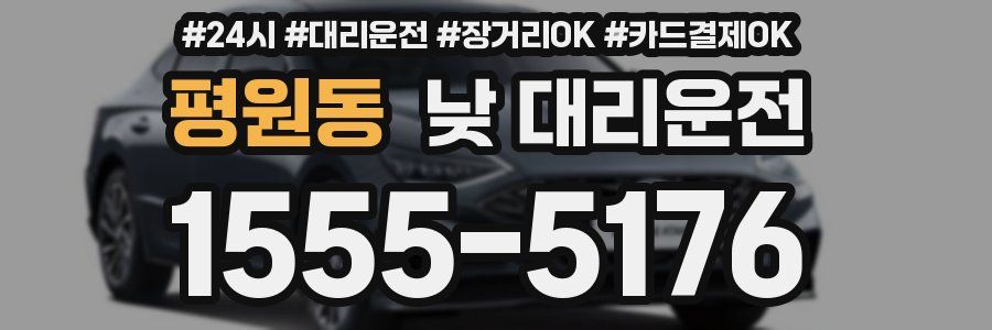 평원동 낮 대리운전