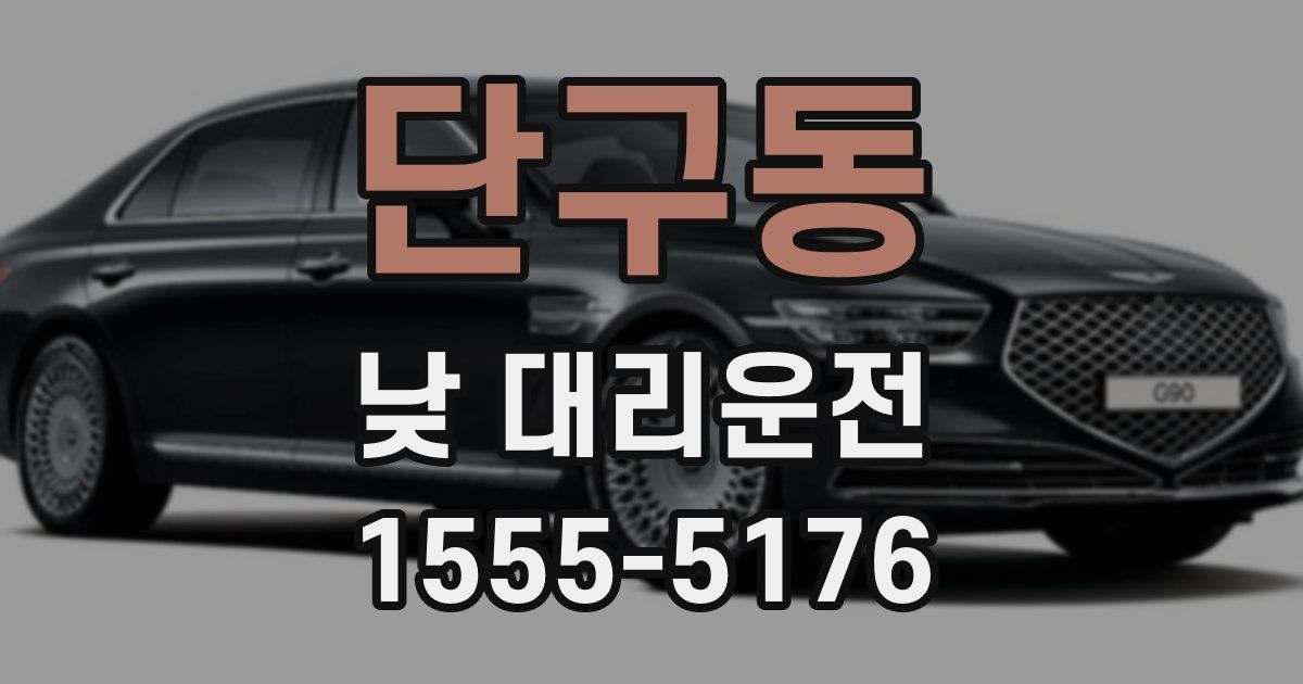 단구동 낮 대리운전
