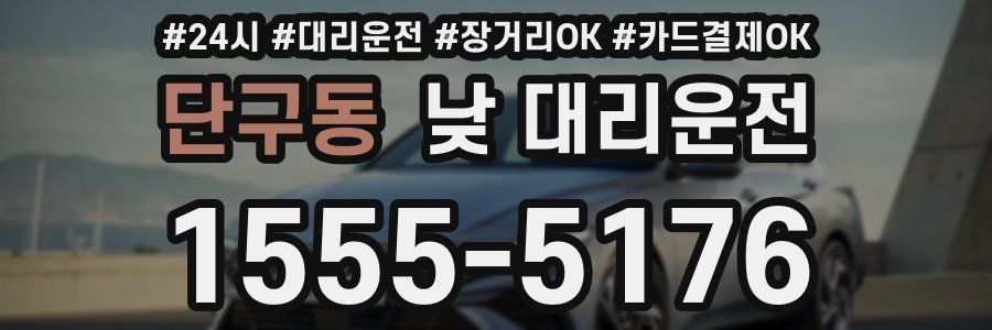 단구동 낮 대리운전