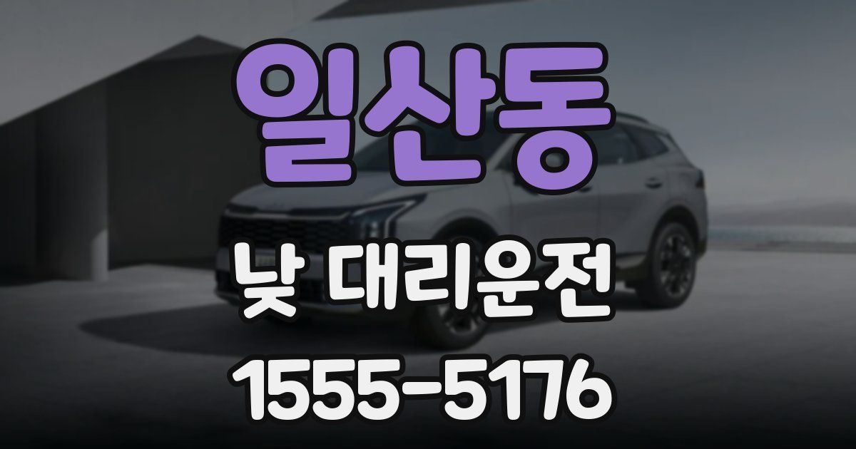 일산동 낮 대리운전