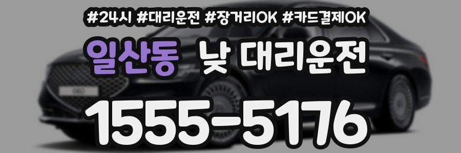 일산동 낮 대리운전