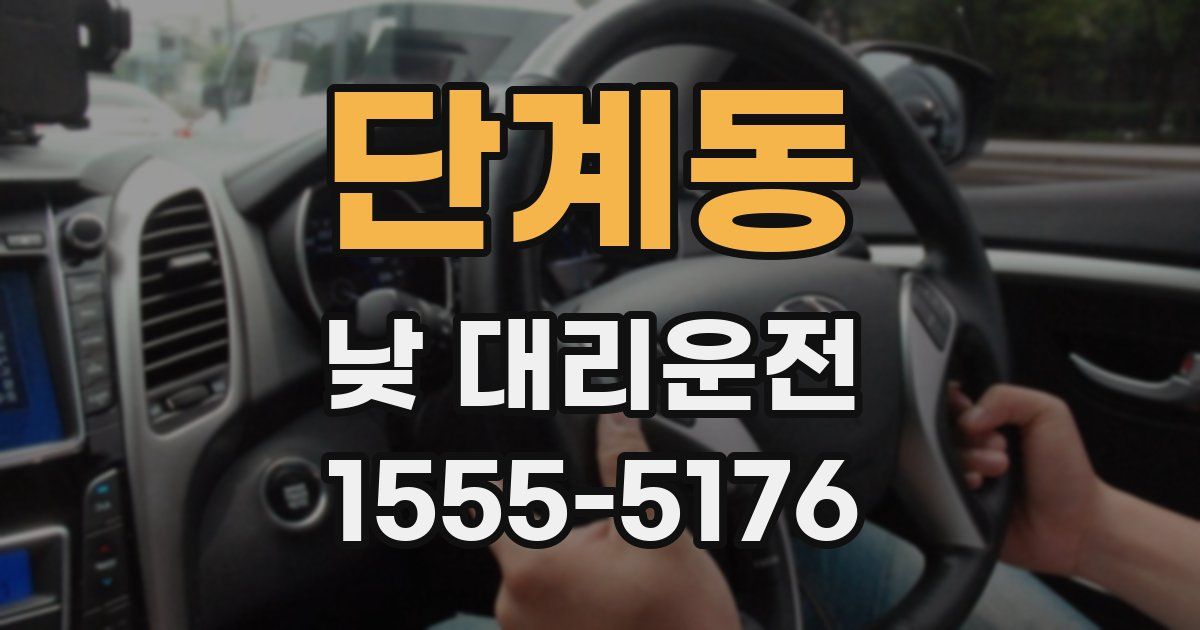 단계동 낮 대리운전