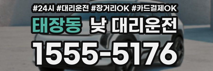 태장동 낮 대리운전