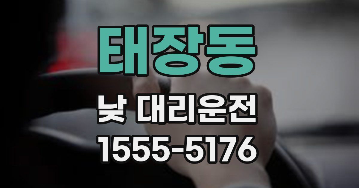 태장동 낮 대리운전
