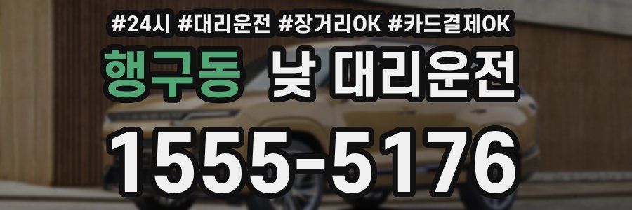 행구동 낮 대리운전