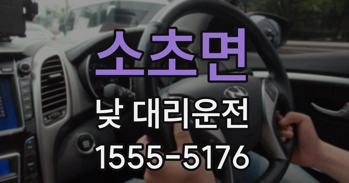 소초면 낮 대리운전