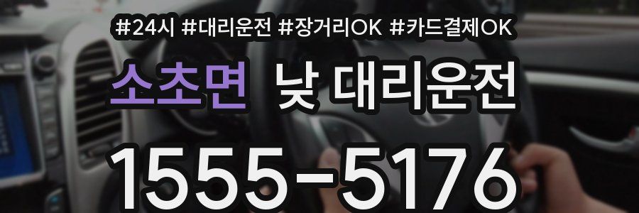 소초면 낮 대리운전