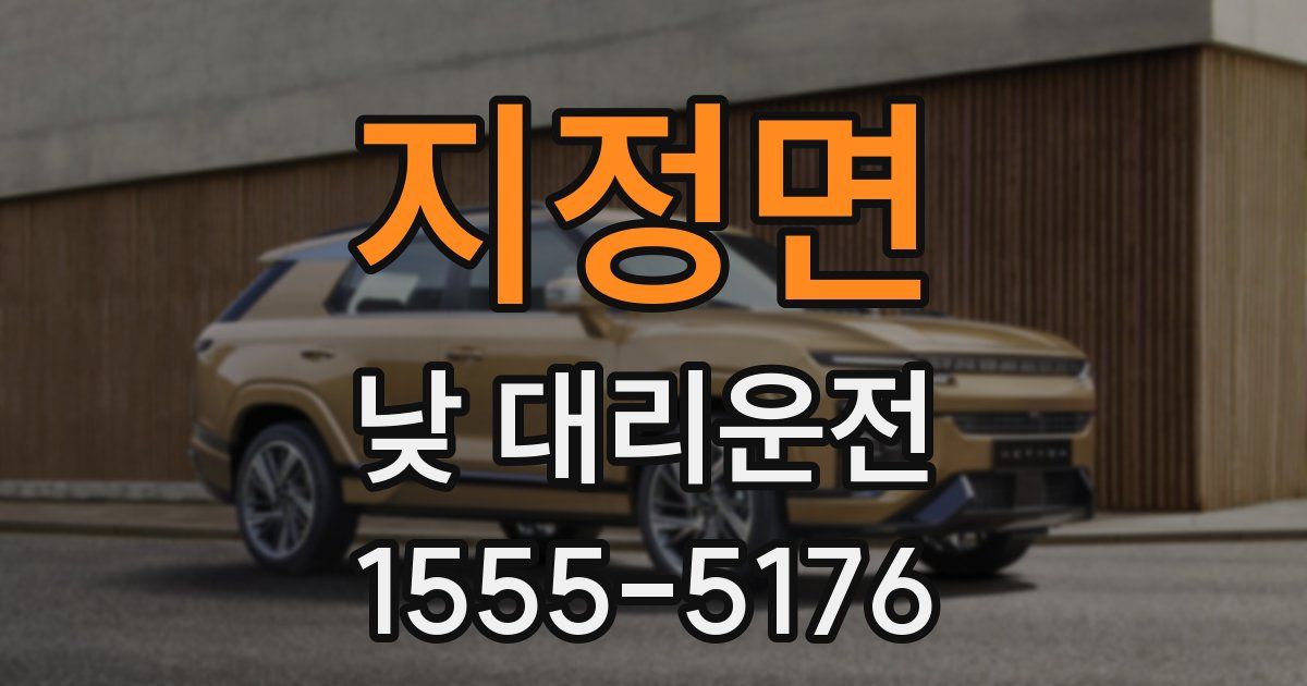 지정면 낮 대리운전