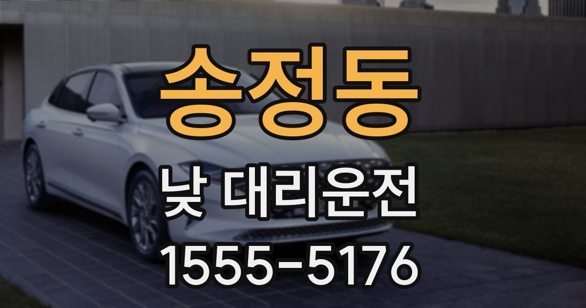 송정동 낮 대리운전
