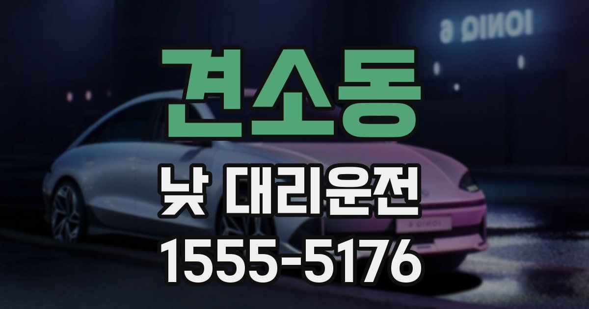 견소동 낮 대리운전
