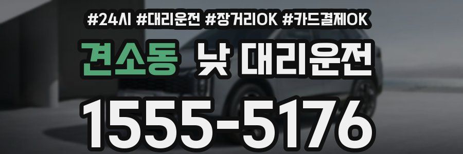 견소동 낮 대리운전