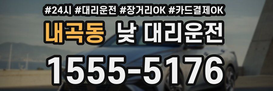 내곡동 낮 대리운전