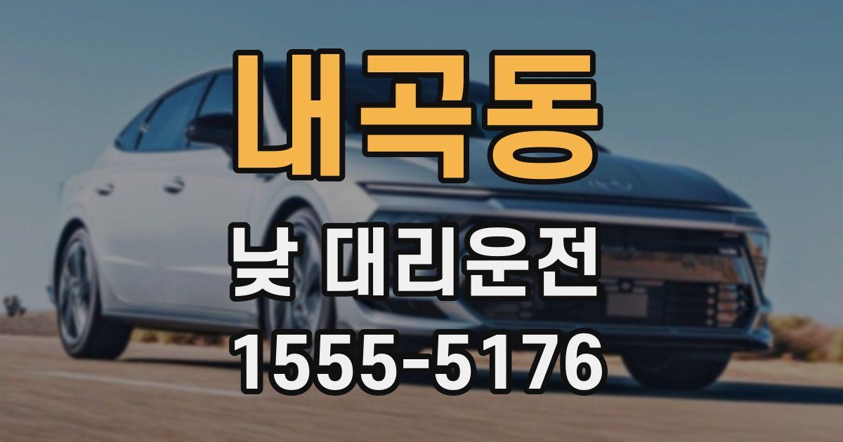 내곡동 낮 대리운전