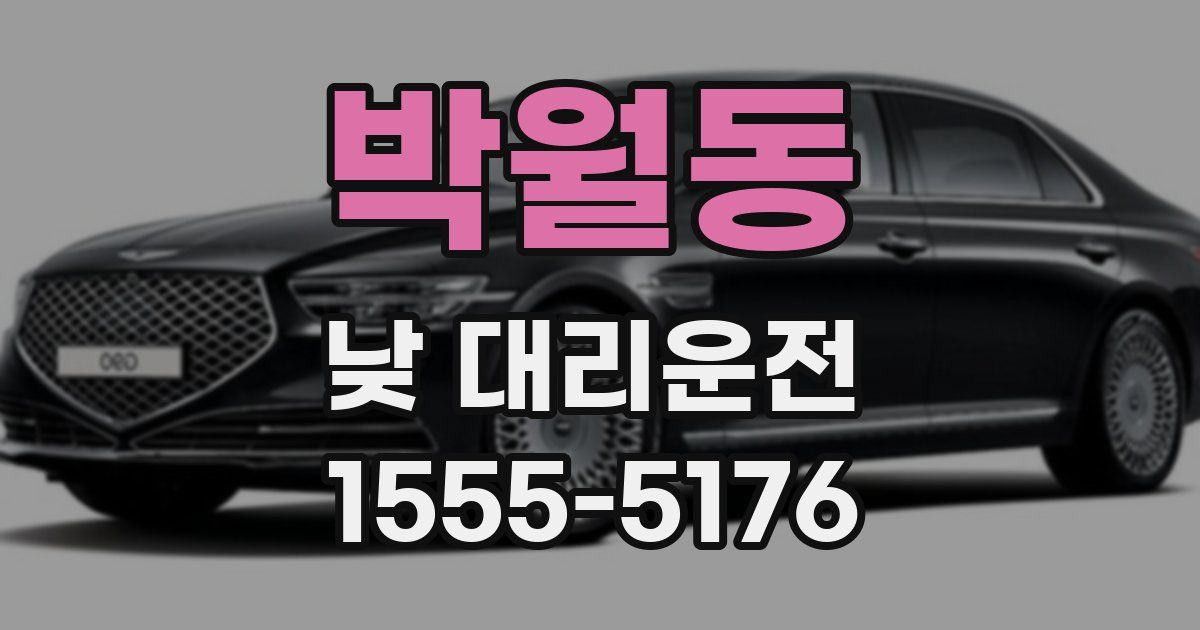박월동 낮 대리운전
