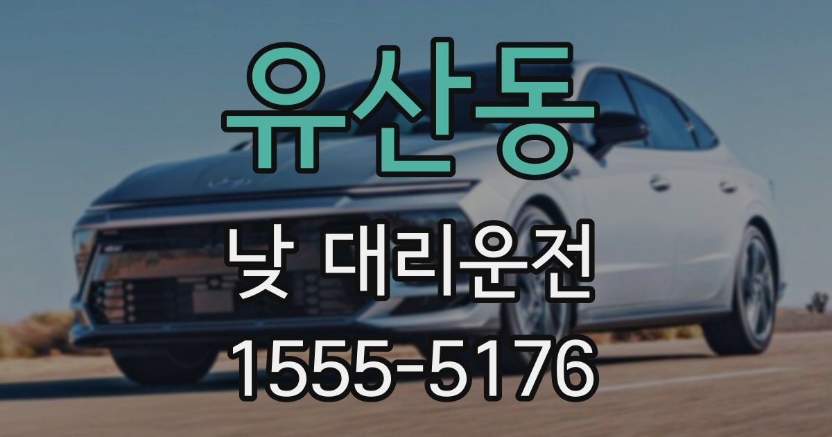 유산동 낮 대리운전