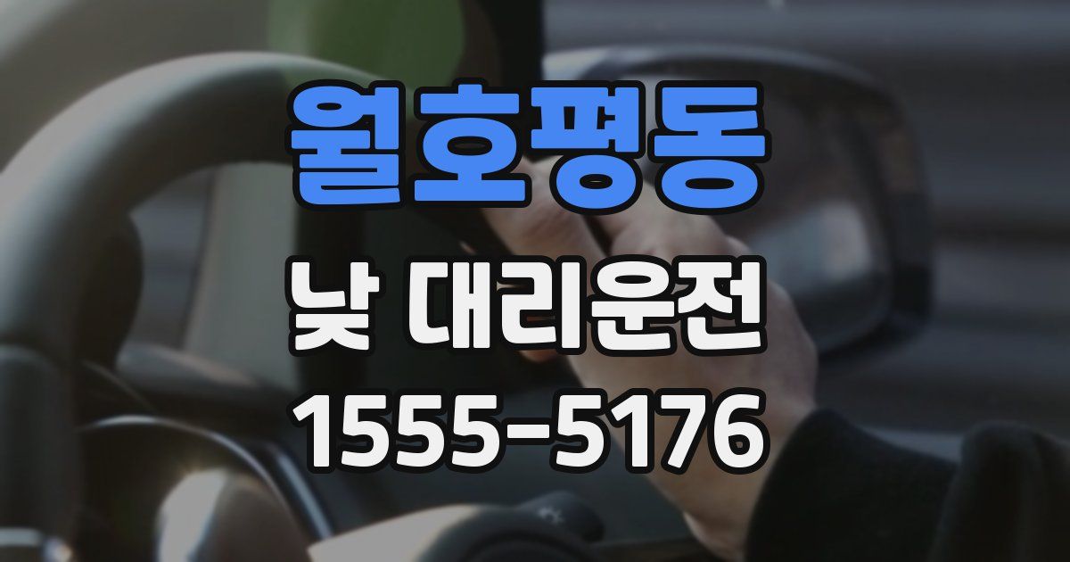 월호평동 낮 대리운전