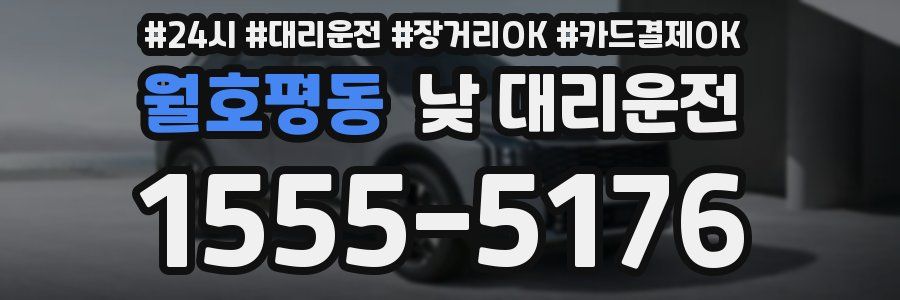 월호평동 낮 대리운전