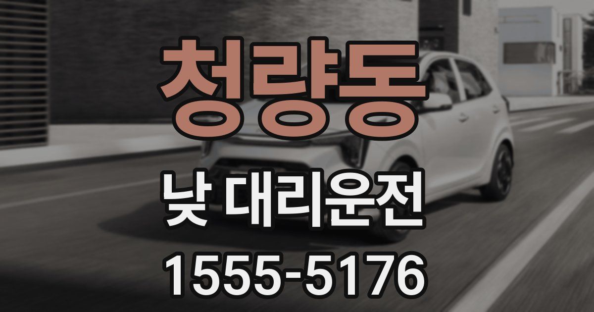 청량동 낮 대리운전