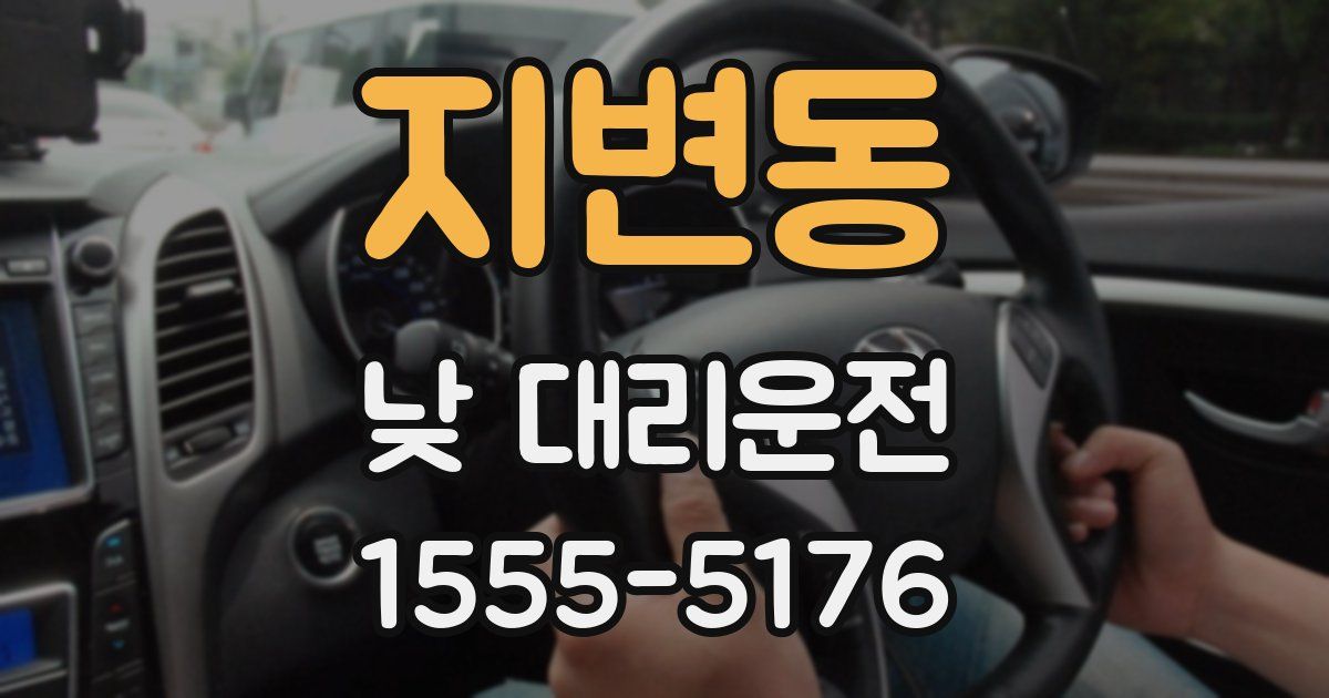 지변동 낮 대리운전
