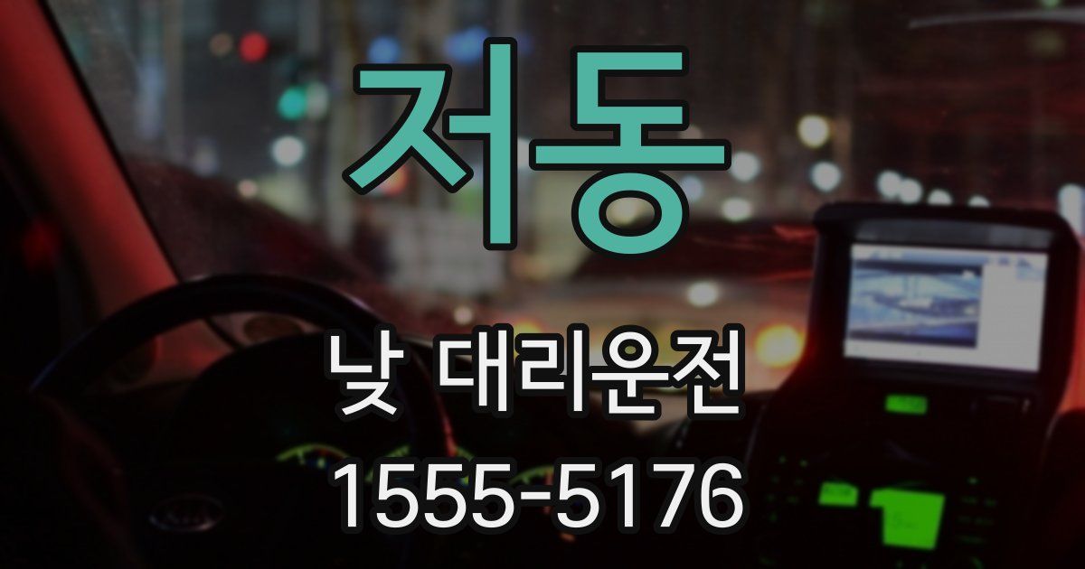 저동 낮 대리운전