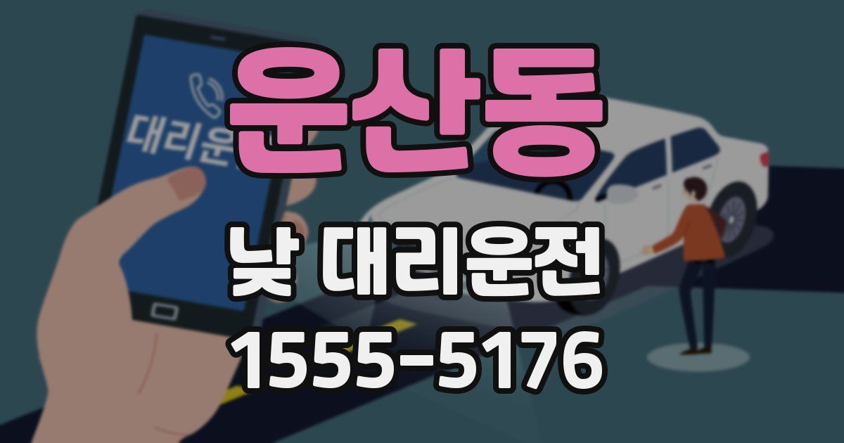 운산동 낮 대리운전
