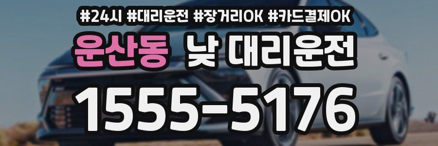 운산동 낮 대리운전
