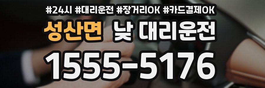 성산면 낮 대리운전