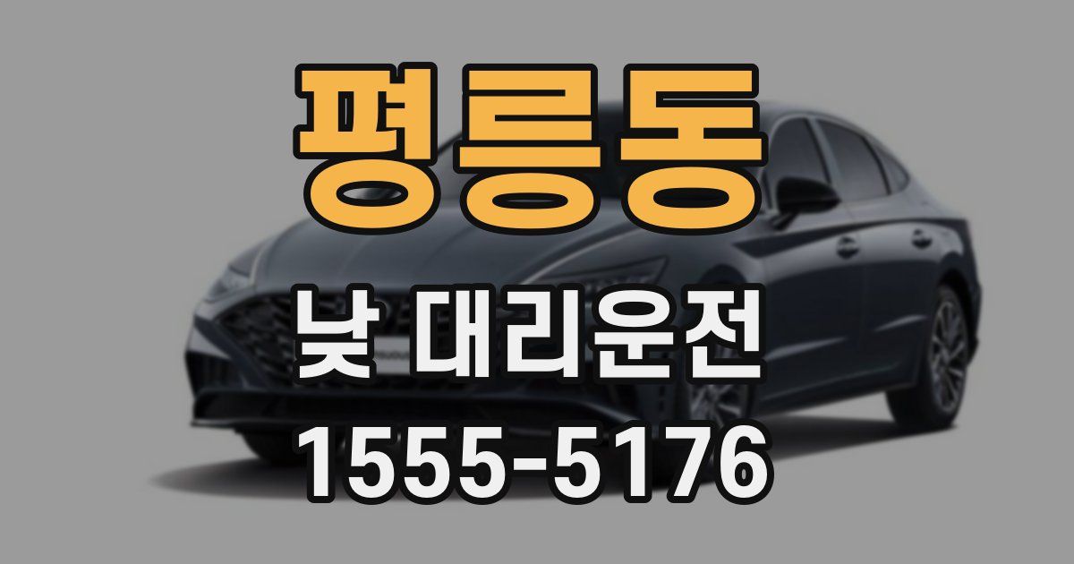 평릉동 낮 대리운전