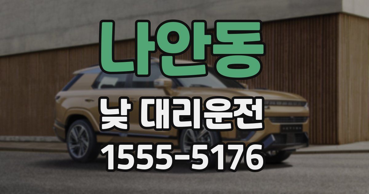 나안동 낮 대리운전