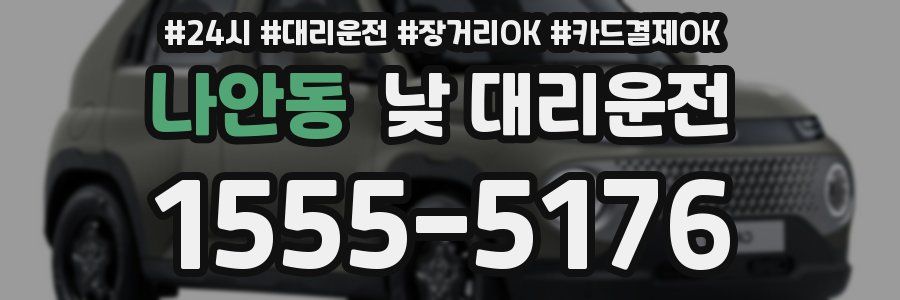 나안동 낮 대리운전